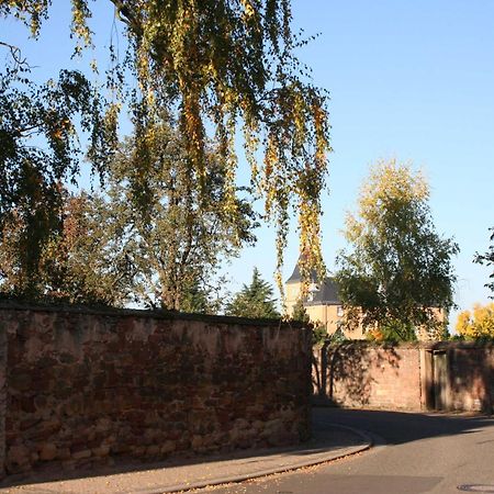 Ferienwohnung Spatzennest In Edesheim Kültér fotó