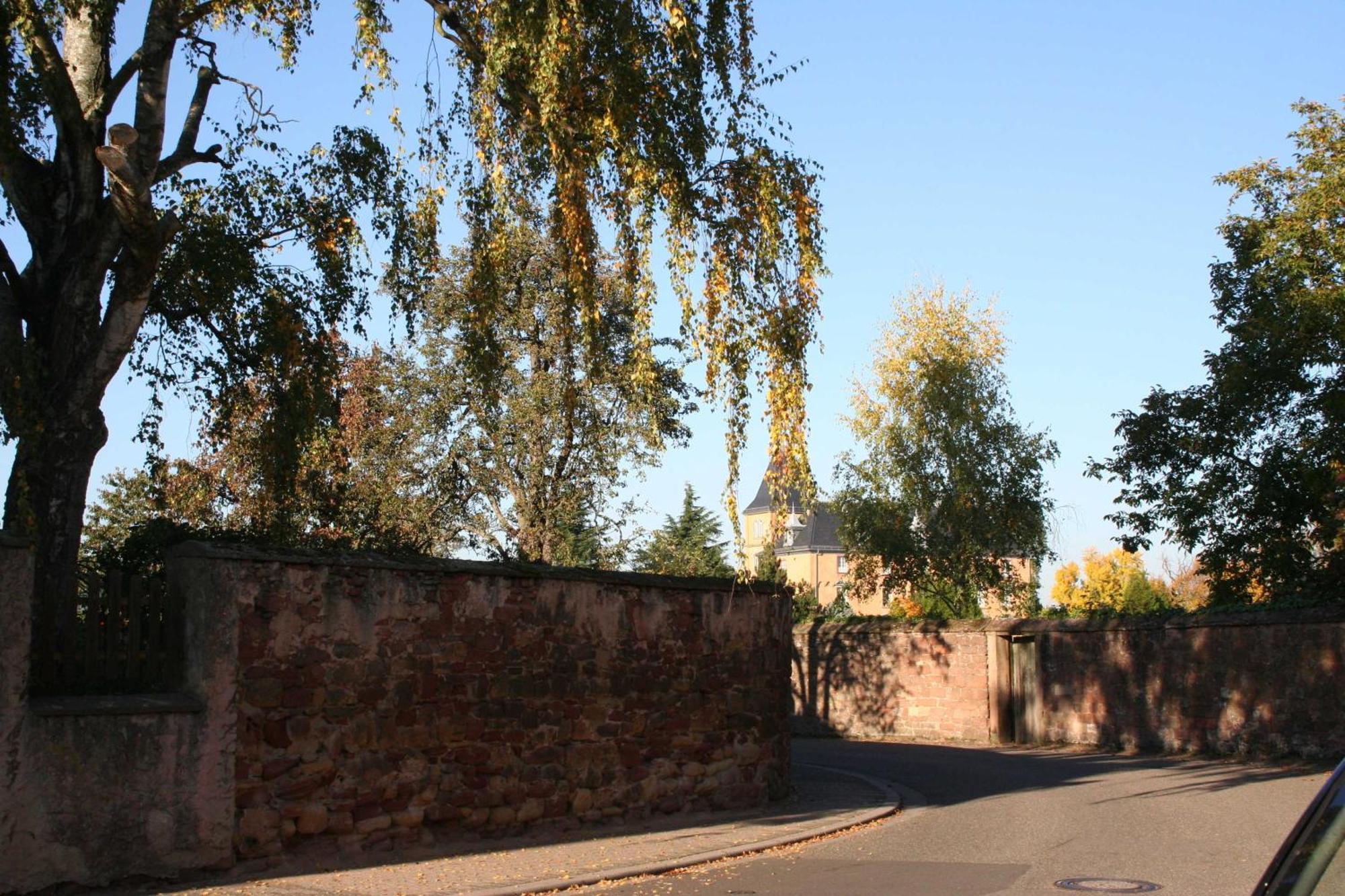 Ferienwohnung Spatzennest In Edesheim Kültér fotó