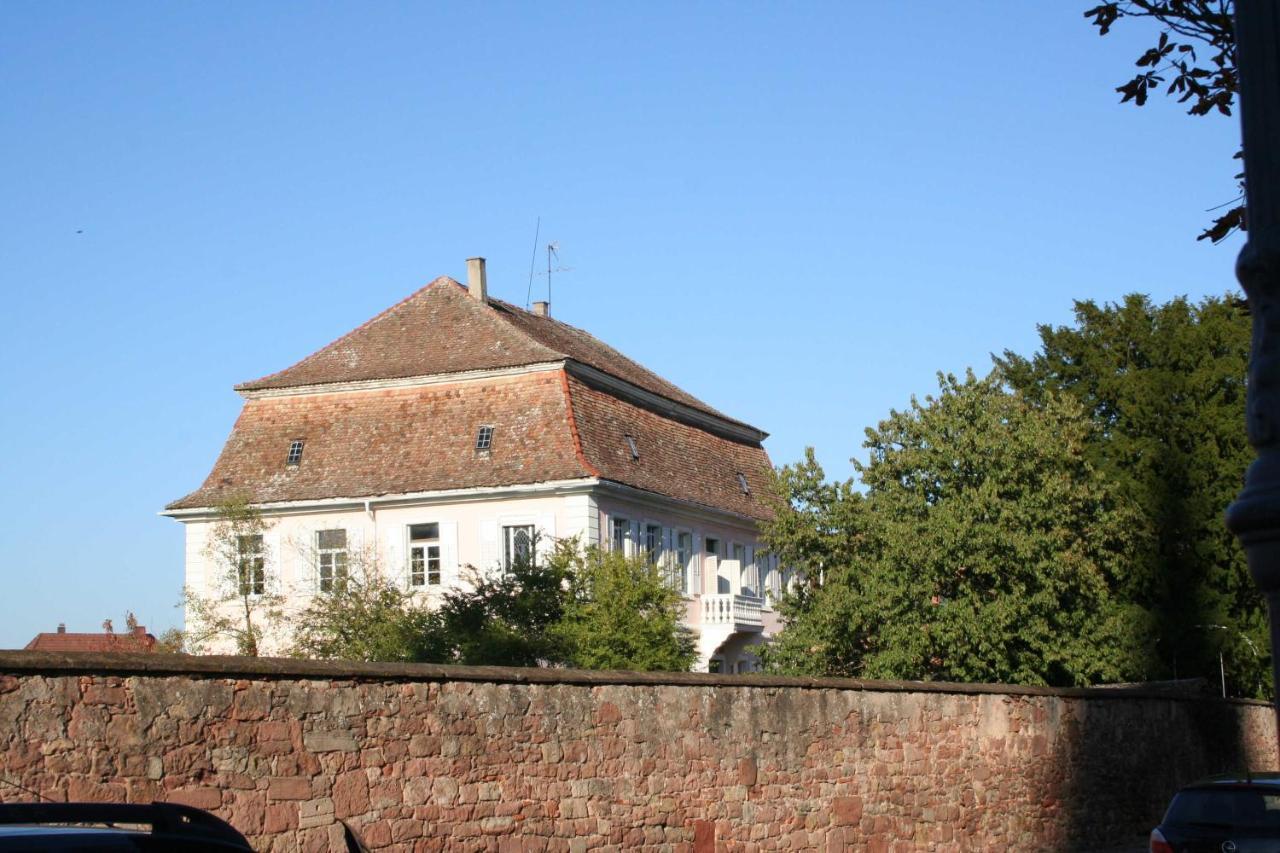 Ferienwohnung Spatzennest In Edesheim Kültér fotó